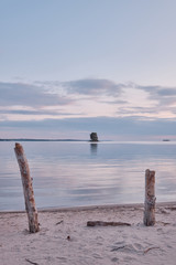 Wall Mural - Two tree trunks stand out from a sandy beach with a small island in the background