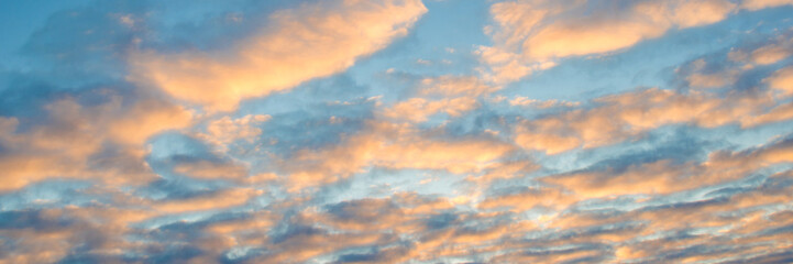 Wall Mural - orange clouds panoramic background and blue sky at sunset