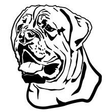 Head Portrait Of English Mastiff, Bullmastiff Dog. Isolated Outlined Sketch,contour Vector Illustration