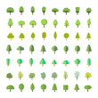 Flat trees in a flat design. Natural product store, garden, nature cosmetics, ecology company. Different trees collection.