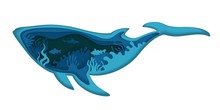 Double Exposure Vector Layered Paper Cut Whale