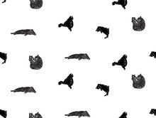 Cat Fun Lazy Black White Vector Seamless Pattern