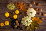 Fototapeta Kuchnia - Dynie, pigwa, szyszki, liście i orzechy na drewnianym tle