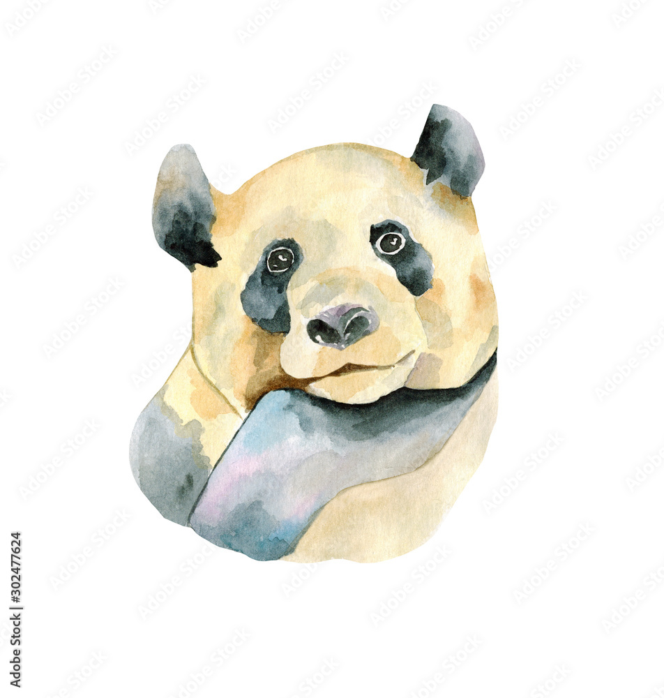 Panda Hand Painted Watercolor Illustration Isolated On White Background Watercolor Animal Silhouette Sketch Wildlife Art Illustrations Vintage Graphic For Fabric Postcard Greeting Card Book Wall Mural Aksinyalady