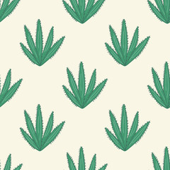 Wall Mural - Cactus seamless pattern. Cacti doodle wallpaper illustration