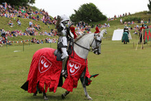 Knight Show, Set 4.05 Free Stock Photo - Public Domain Pictures