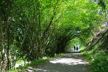 pareja gente paseando entre un túnel de árboles U84A5676-as19