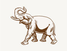 Graphical Vintage Elephant, Vector Sepia Illustration 