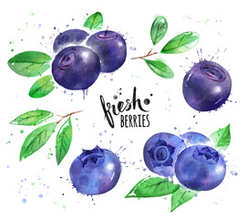 Watercolor set of bilberry and blueberry