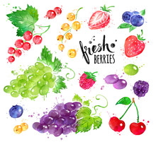 Watercolor Illustration Set Of Berries