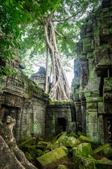 Canvas Print - ruins of angkor wat complex at cambodia