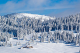 Fototapeta  - Paysage montagnes du Jura sous la neige
