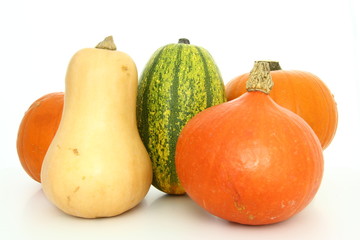 Wall Mural - Vege -  various pumpkins on white background - butternut squash, hokkaido, pasta