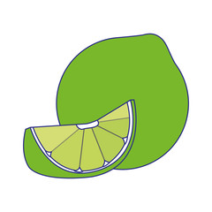 Poster - green lemon icon, flat design