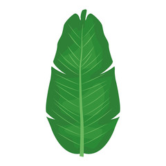 Poster - tropical leaf icon, colorful design