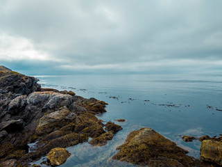 Wall Mural - Rocky coastal shoreline of Friday Harbor in San Juan Island, WA, on an overcast day