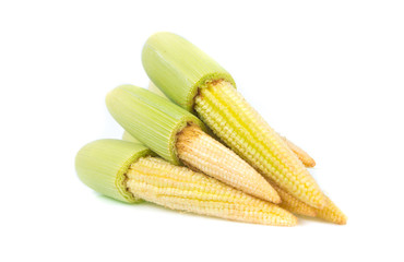 baby corn isolated