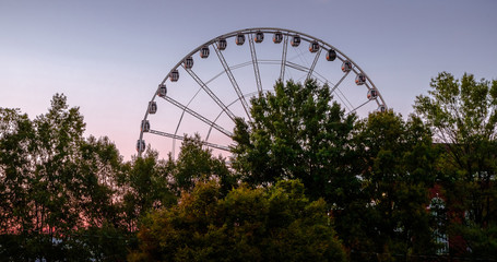 Wall Mural - Empty ferris wheel spins above tree druing sunset at the golden hour.