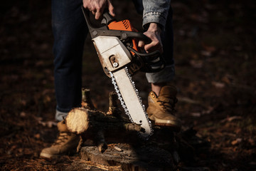 Wall Mural - Lumberman work with chainsaw  sawing a tree in the forest. Lifestyle work.  Male hands with a saw in the woods. Detail . Hard work with a saw.