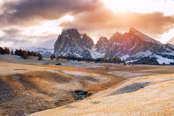 Wall Mural - Alpe di Siusi or Seiser Alm with Sassolungo - Langkofel mountain group