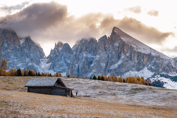 Wall Mural - Alpe di Siusi or Seiser Alm with Sassolungo - Langkofel mountain group