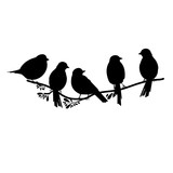 Fototapeta Dinusie - five birds on a branch. black silhouette