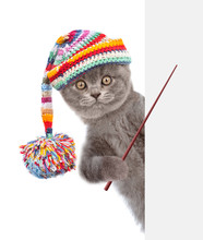 Cat Wearing A Warm Hat Peeks And Points On Empty Space Banner. Isolated On White Background