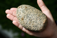Wet Granite Stone In Hand.