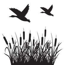 Flying Mallard Duck And Reeds Vector Illustration