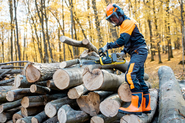 Poster - professional lumberjack in protective workwear working with a chainsaw in the forest. woodcutter mak