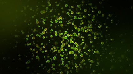 Poster - Natural dust particles floating on black background, green particles in slow motion. Animation. Colorful same sixe circles moving chaotically, seamless loop.