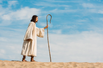 Canvas Print - handsome bearded man holding wooden cane and walking in desert