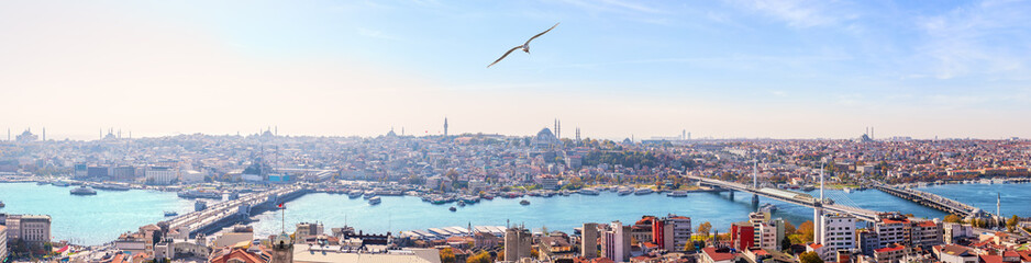 Wall Mural - Istanbul bridges and the Golden Horn panorama, view from the Galata Tower