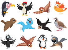 Set Of Funny Bird Characters