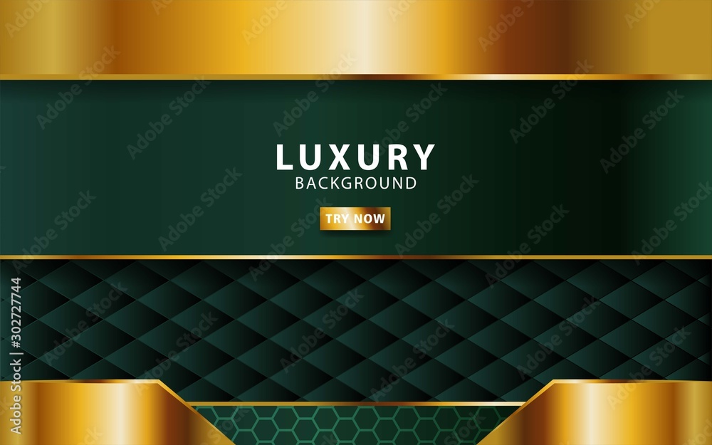 luxury abstract premium green vector background with gold line.Overlap ...