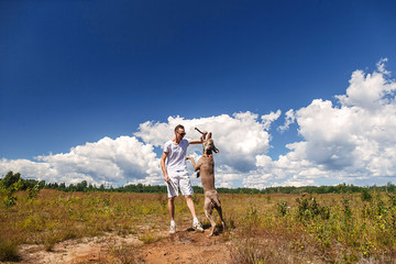 Wall Mural - Man playing with dog on nature at daytime