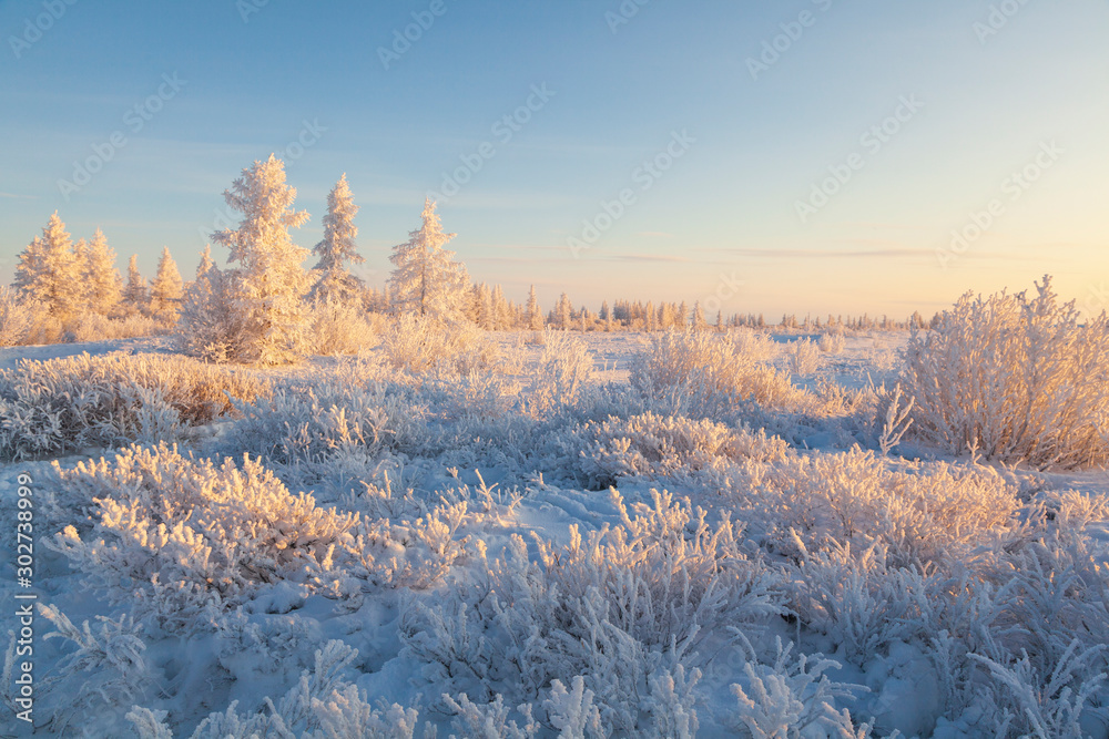 Modern Picture Print on Canvas Winter Landscape 30 it forms 3854