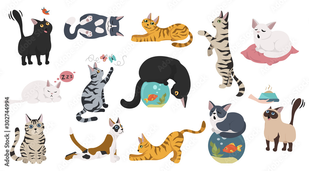 Cartoon cat characters collection. Different cat`s poses, yoga and emotions set. Flat color simple style design. - obrazy, fototapety, plakaty 