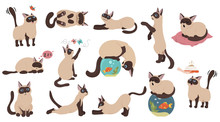Cartoon Cat Characters Collection. Different Cat`s Poses, Yoga And Emotions Set. Flat Color Simple Style Design. Siamese Colorpoint Cats