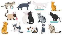 Cartoon Cat Characters Collection. Different Cat`s Poses, Yoga And Emotions Set. Flat Color Simple Style Design.
