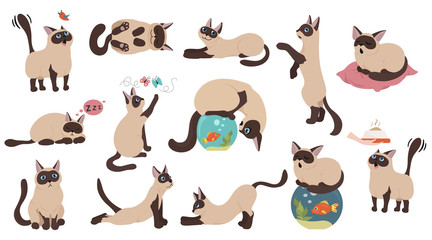 Wall Mural - Cartoon cat characters collection. Different cat`s poses, yoga and emotions set. Flat color simple style design. Siamese colorpoint cats