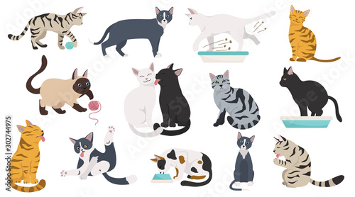 Cartoon cat characters collection Tableau sur Toile