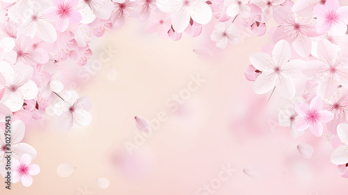 Plakat kwiaty wiśni   kwitnaca-jasnorozowa-sakura-realistyczne-kwiaty-wisni