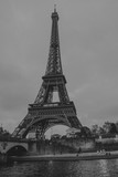 Fototapeta Na drzwi - Torre Eiffel