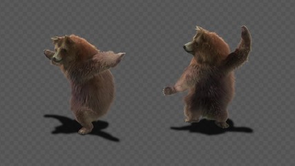Wall Mural - Bear Dance CG fur 3d rendering animal realistic CGI VFX Animation Loop  composition 3d mapping cartoon, with Alpha Channel