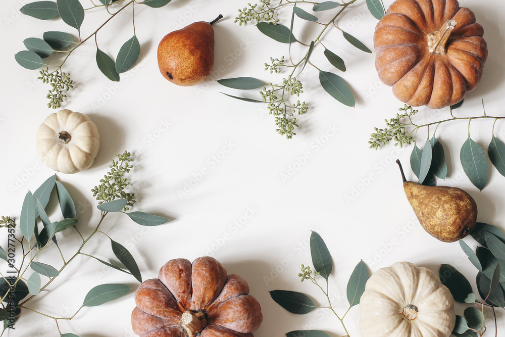 Autumn floral frame, web banner. Garland of berry eucalyptus leaves, branches, pear fruit, orange and white pumpkins isolated on white table background. Fall, Thanksgiving design. Flat lay, top view. - obrazy, fototapety, plakaty 