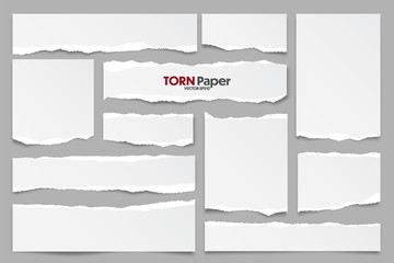 Wall Mural - white ripped paper strips collection. realistic paper scraps with torn edges. sticky notes, shreds o