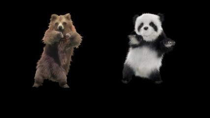 Wall Mural - Bear Dance CG fur 3d rendering animal realistic CGI VFX Animation Loop  composition 3d mapping cartoon, with Alpha Channel
