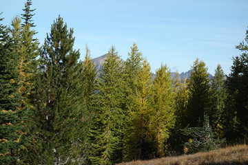 landscapes of the pacific northwest