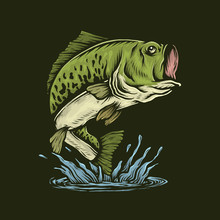 Handdrawn Vintage Bass Fish Jumping Vector Illustration